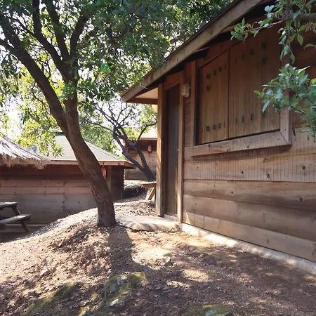 Mozziconaccio Sainte-Lucie de Porto-Vecchio