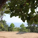 Mozziconaccio Kamp alanı 3*