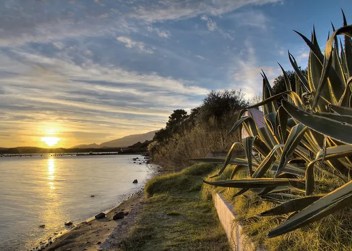 Camping Mozziconaccio Sainte-Lucie de Porto-Vecchio