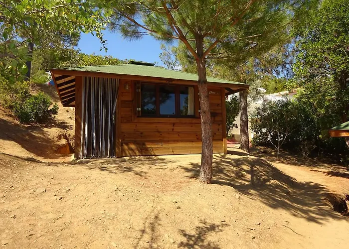 Mozziconaccio Camping